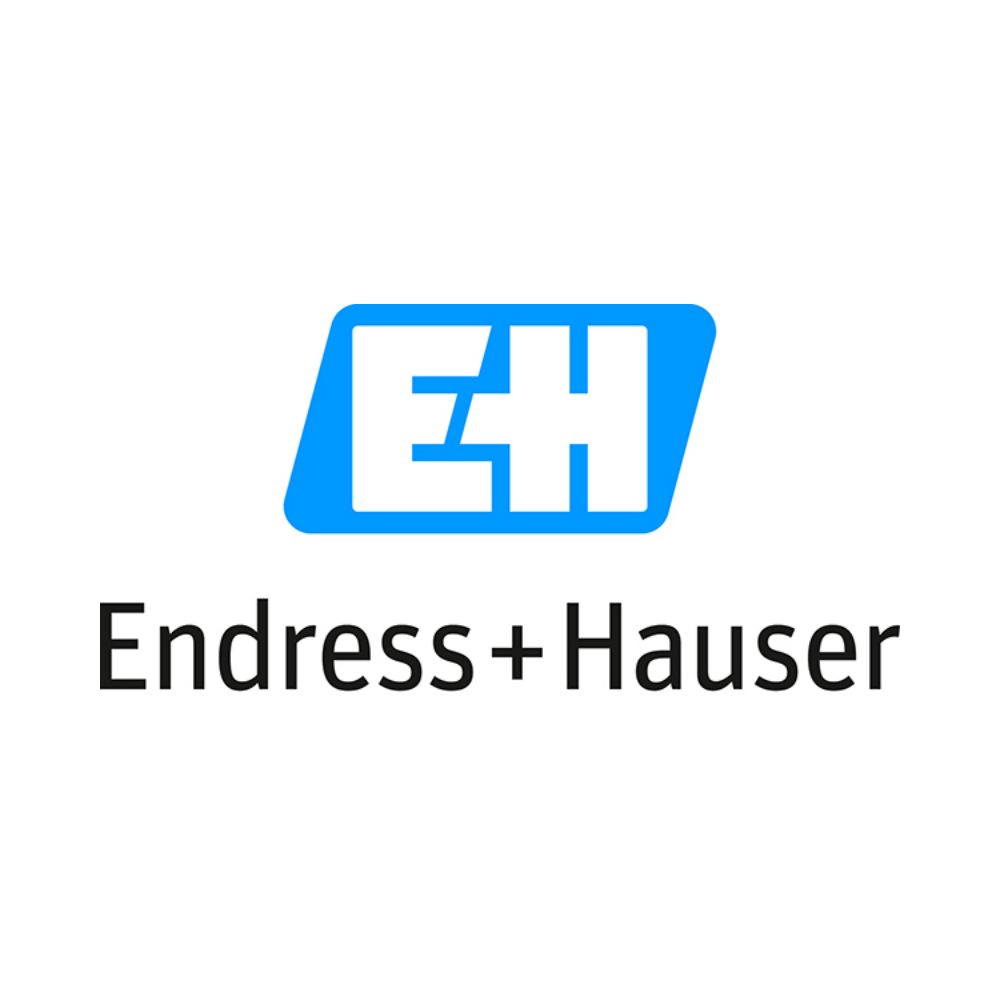 Endress Hauser